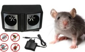 Ультразвуковой способ уничтожения мышей